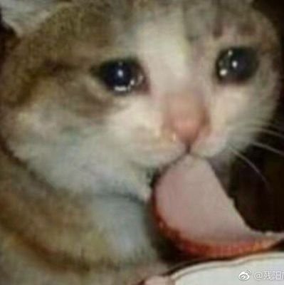 kehn__'s profile picture. earth