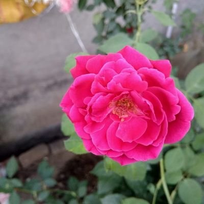 desai_patidar's profile picture. life is goes...💗