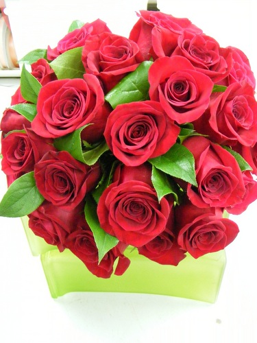 englishrosedsm's profile picture. I'm an English girl who lives in Ankeny, IA.  I started The English Rose after 16 years of being a floral designer and it's soooo much fun!