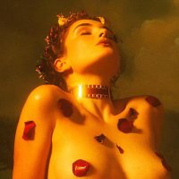 La Renarde (@theraphosidae__) 's Twitter Profile