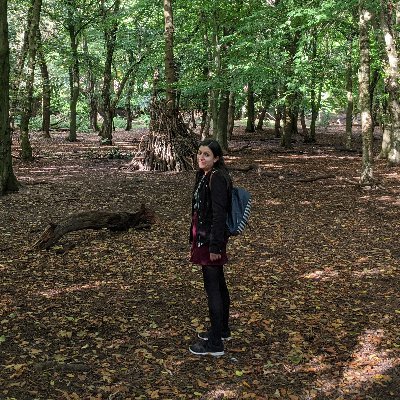 Andrea Colins Profile