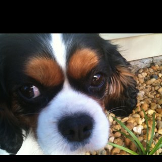 becstajane's profile picture. 