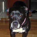 Ben Bodmer - @wunderben1 - Twitter