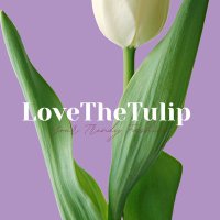 LoveTheTulip(@LoveTheTulip) 's Twitter Profile Photo