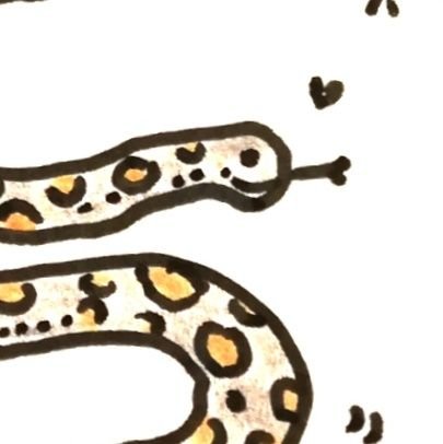 nyorolife🐍📙さんのプロフィール画像
