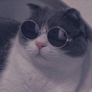 bimsalabime's profile picture. friendly, but I'm not your friend tho.