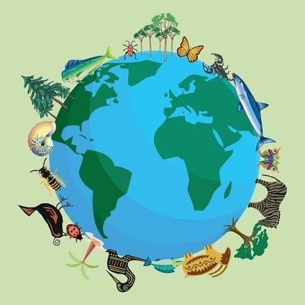 Biodiversity - Ecology - Wildlife Management