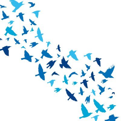 Preceptorship23's profile picture. The Preceptorship programme for #newlyregistered staff joining @SomersetFT.