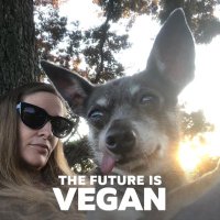 PoliticalBirdDinners Ⓥ 🐀 (@birddinners) 's Twitter Profile Photo PoliticalBirdDinners Ⓥ 🐀 (@birddinners) 's Twitter Profile Photo