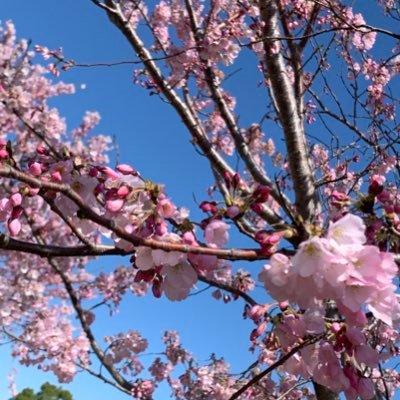 桜が好き、花火が好き、ふなっしーが好き、BUMP、髭ダン、大泉洋、TEAMNACS好き、日本酒が好き、落語(特に志の輔さん)が大好き💕「ご縁」を大事にしたいと思っています。