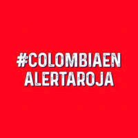 Amparo Conde (@condeamparo) 's Twitter Profile