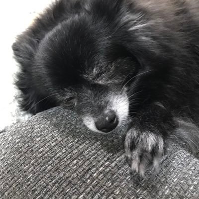 yurirriaya's profile picture. 