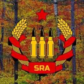 Ⓐ ☭ 🌻🌹 Firearms education & training for the left. We keep us safe. Get in touch at: NH-SRA@protonmail.com