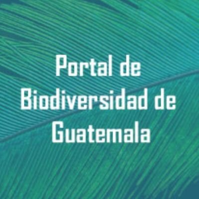 Portal virtual #Symbiota para el manejo de datos de #ColeccionesBiológicas de Guatemala 🐞🦇🐟🐌🌿🌲🍄🇬🇹. En GBIF #NodoSymbiota 🌎.🖱Alojado en @BioKIC_ASU.