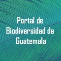 Portal de Biodiversidad de Guatemala 🇬🇹(@GuatemalaPortal) 's Twitter Profile Photo