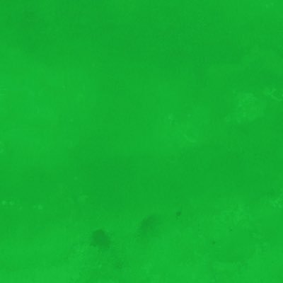 dmakkzmg's profile picture. 成人済 ほぼ見る専