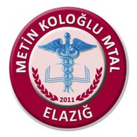 metinkologlumtal (@metinkologlumta) 's Twitter Profile