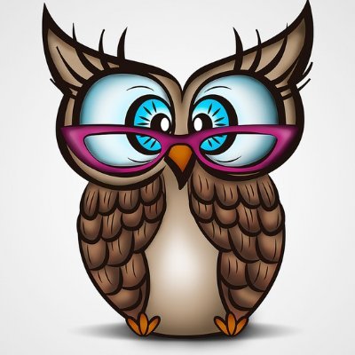 NVWiseOwls's profile picture. Principal Northvail Elementary School