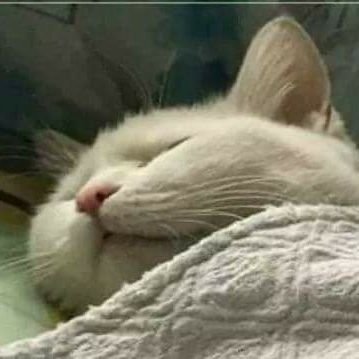 Tuughs's profile picture. Hanggang saan aabot ang aklat ng buhay ko             Kung hindi ka kasama sa bawat pahina nito