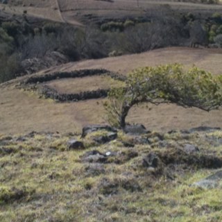 olaaroots's profile picture. 