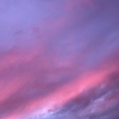 hollvndrw's profile picture. 