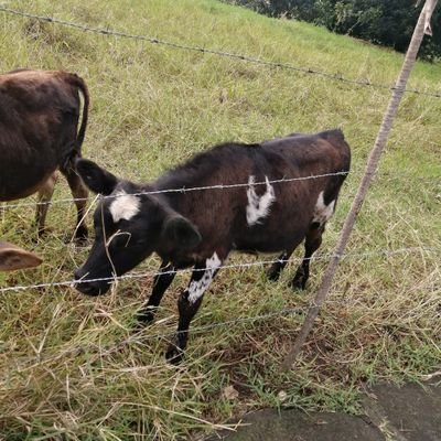 Marco29072381's profile picture. 