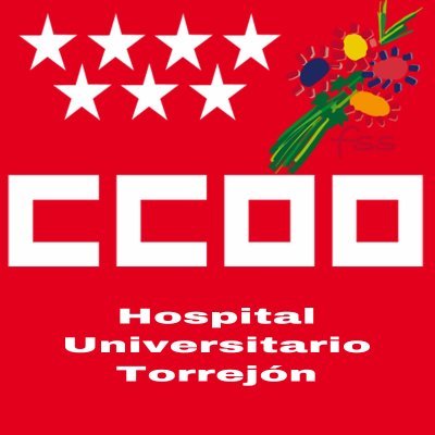 Perfil de la Sección Sindical de CCOO del Hospital Universitario de Torrejón, Madrid