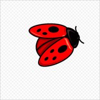 Bóín Diabhail (@diabhail) 's Twitter Profile