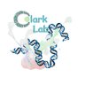 Brian_S_Clark's profile picture. Assistant Professor, WashU Department of Ophthalmology and Department of Developmental Biology