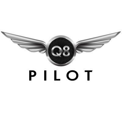 Q8Pilot74 Profile Picture