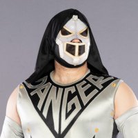 Danger Mask X 🤌 (@thedangermask) 's Twitter Profile