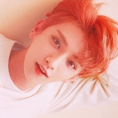 carat • atiny • choice • stay • multifandom
pls interact, I want friends \^•^/