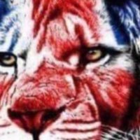 SEVY (@p55evy) 's Twitter Profile