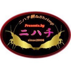 ひっそりエビと暮らしてます。シュリンプ全般、新種作出等楽しみながら、ニハチNET製作販売などやっちょりまっ~!!気楽に宜しくです~