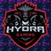 HydraGaming (@masteridra11) Twitter profile photo HydraGaming (@masteridra11) Twitter profile photo