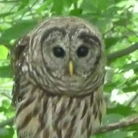 Cav (@79wahoo) 's Twitter Profile Photo