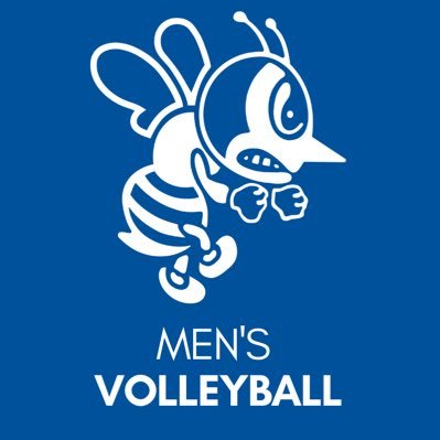 Official Twitter account for the St. Ambrose University men’s volleyball team 🏐 Go Bees!