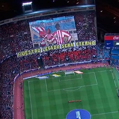 PuedesQuieres's profile picture. Del Atleti, Español y Madrileño.
Libros + Cultura + Deporte + Buena conversación + Buena compañía = Pura Vida!!!