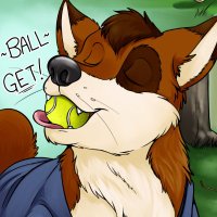 Tennis Ball Doggy (@0thehusky) 's Twitter Profile