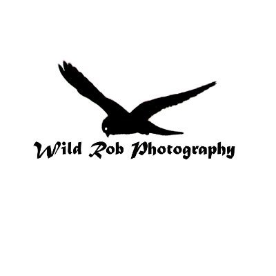 WildRobPhotogr1's profile picture. Hello all! I am Rob, an amateur photographer with an interest in nature. I set up Wild Rob Photography as a way to get my work known.