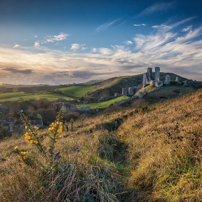 KeithTh65903204's profile picture. AFC Bournemouth fan, a convert to Total Football, and all round good guy