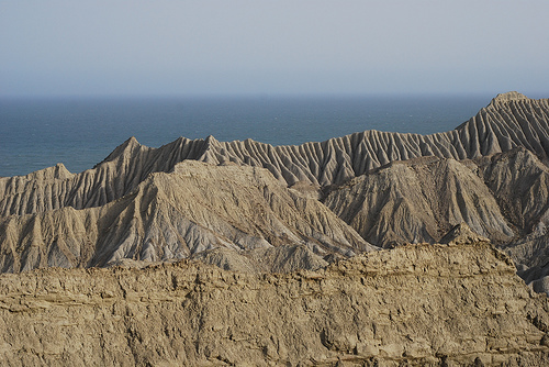 paul_thompsonh's profile picture. Prefers dry desert air.