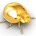 Aurum Cimex Profile picture