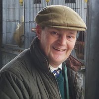 Fabian R Eagle (@fabianreagle) 's Twitter Profile