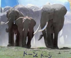 【出身校とか】むらやま幼稚園→村山3小→立川8小→立川6中→立川高校→早稲田大学 【好きなことやものとか】ピアノ、テニス、サッカー、バレー、一発芸とかネタ、写真、ITいじり、飲み会、カラオケ、漫画、ゲーム、クマ、犬、女、プリン、茶碗蒸し、ラリアン、カレー 【一言】みなさん仲良くしてください!