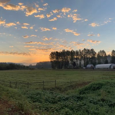 K_Cee_Sunshine's profile picture. Obsessive reader, World Traveler, #LiverpoolFC #SEAKraken