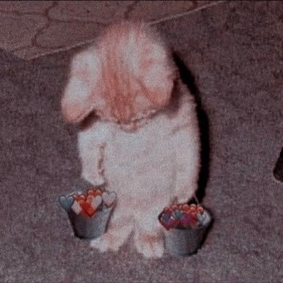 abnoice's profile picture. :)