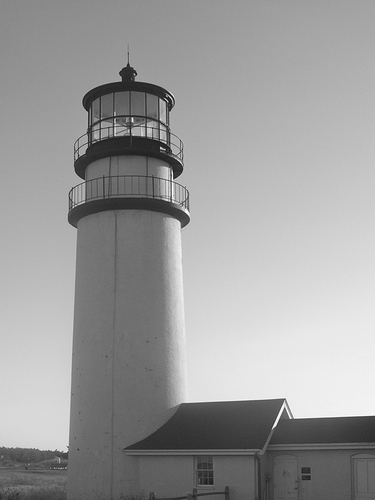 There are no rules for good photographs, there are only good photographs.
-Ansel Adams