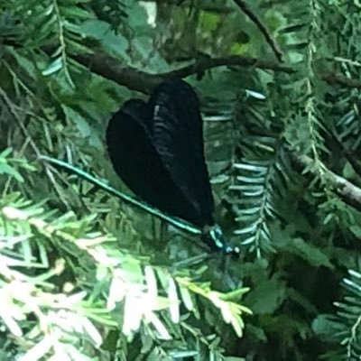 freefol75899034's profile picture. 