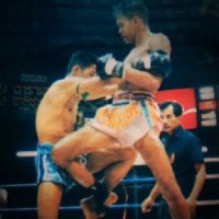 Phan K.S. (@mtlevg) 's Twitter Profile